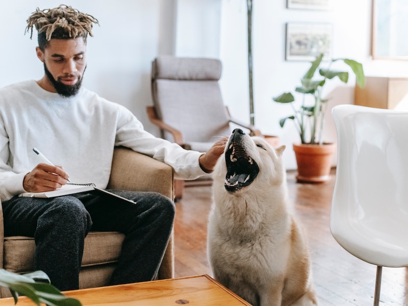 Pet Owner